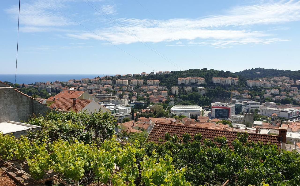 Laura Apartment Dubrovnik Eksteriør billede